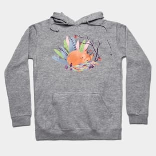 Sleeping Fox Hoodie